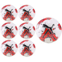 Soccer Ball Pack of 10, 6, 4 Puma Orbita 6 MS Training Soccer Ball Multiple Sizes plus Bag - 8