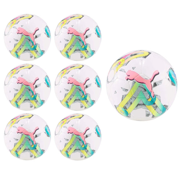 Soccer Ball Pack of 10, 6, 4 Puma Orbita 6 MS Training Soccer Ball Multiple Sizes plus Bag - 9