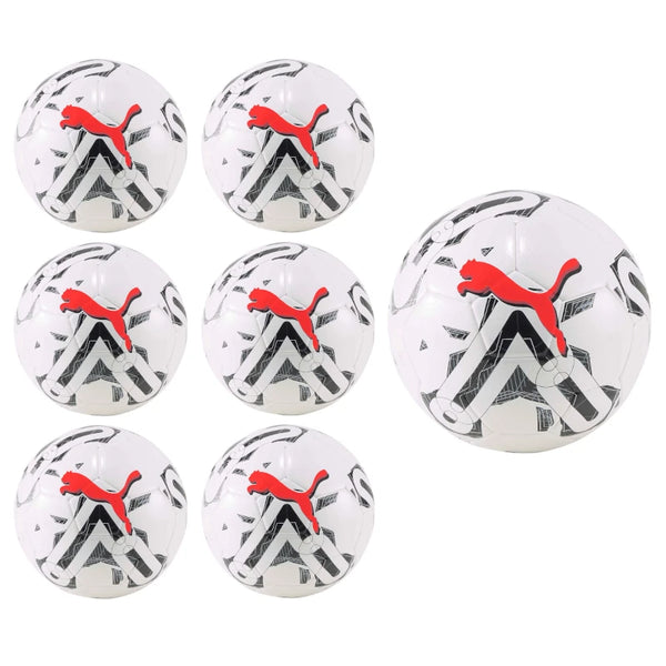 Soccer Ball Pack of 10, 6, 4 Puma Orbita 6 MS Training Soccer Ball Multiple Sizes plus Bag - 5