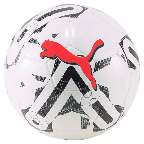 Soccer Ball Pack of 10, 6, 4 Puma Orbita 6 MS Training Soccer Ball Multiple Sizes plus Bag - 16